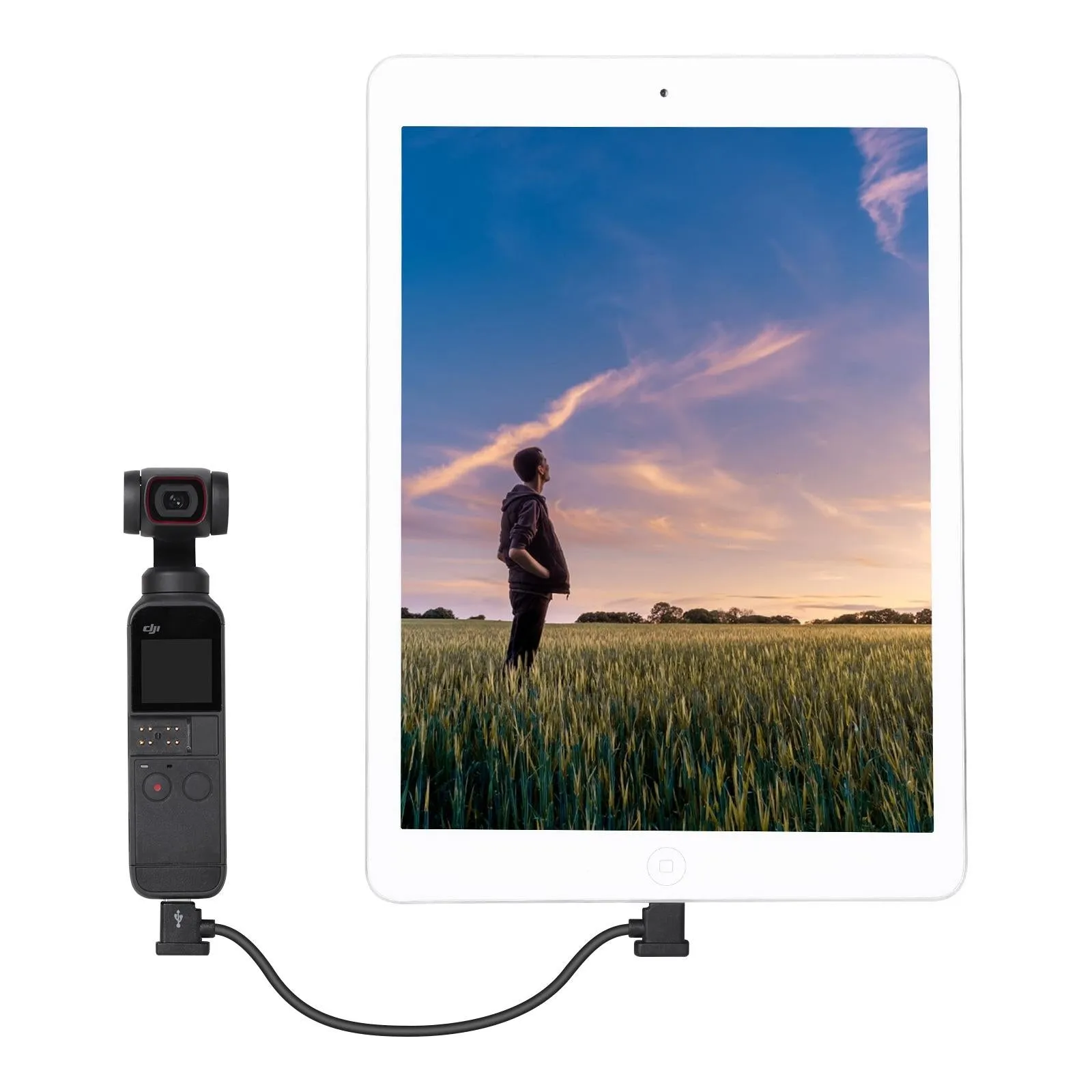 15cm Type c to 8 Pin Cable for Dji Mavic Air 2s / Fpv Flight Glasses V2 / Mini 2 / Pocket 2 Mobile Devices