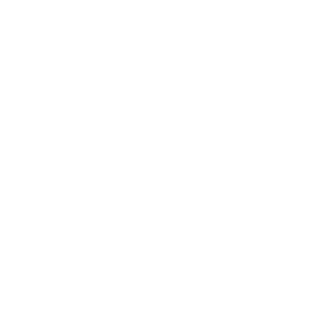 Nano HD cam - A miniature camera
